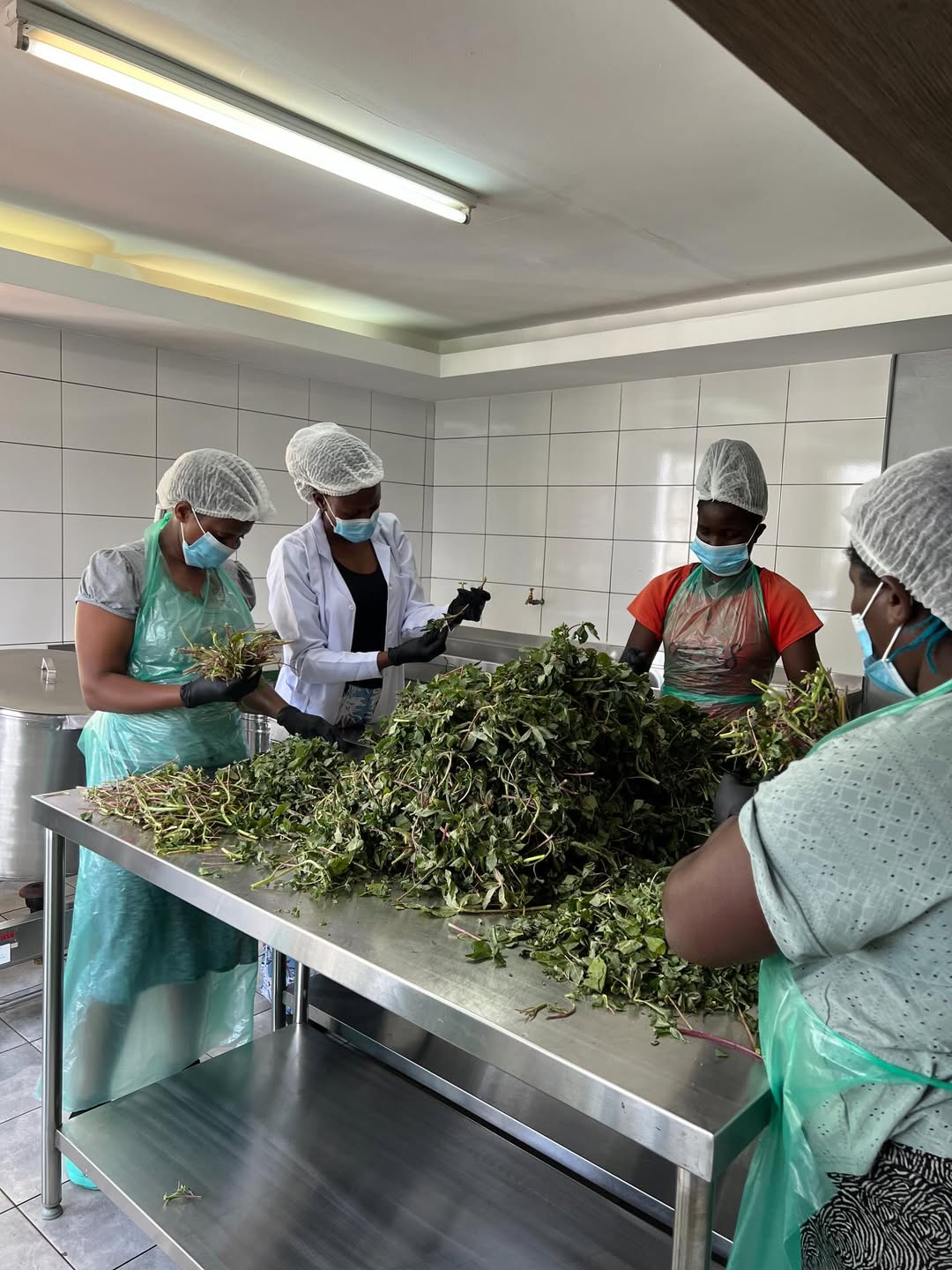 3. Women Empowerment Program